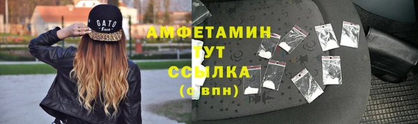 гидра Аркадак