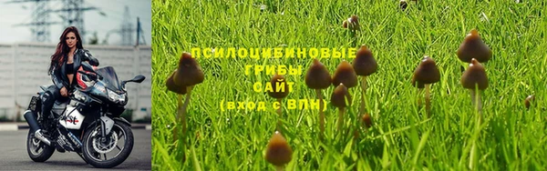 хмурый Армянск