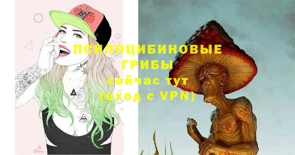 гидра Аркадак